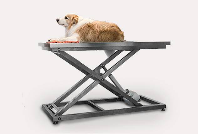 Pet-Checking-Tables