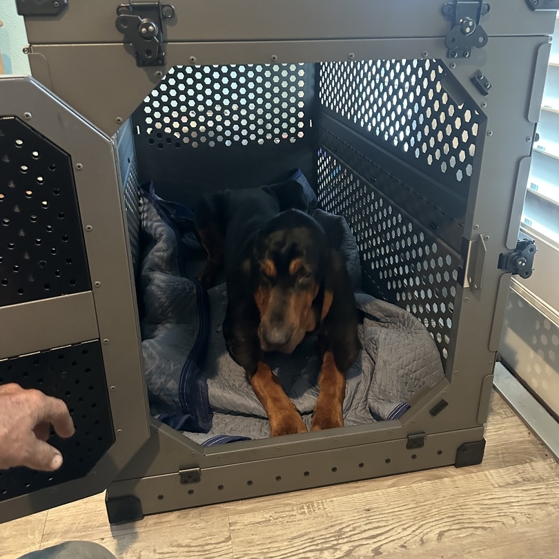 Preex collapsible dog crate1