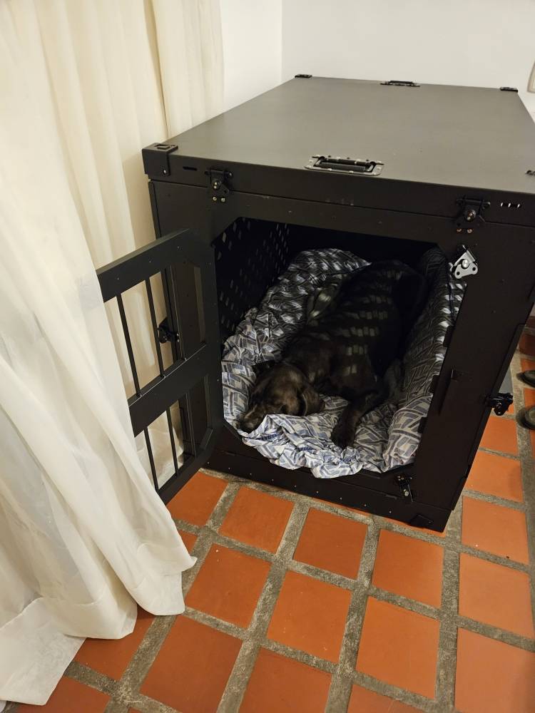 Should I Cover My Collapsible Dog Crate with a Blanket at Night?